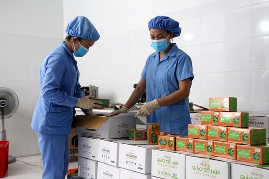 Hỗ trợ doanh nghiệp tiếp cận vay vốn trả lương ngừng việc