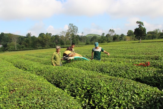 Tự lực, tự cường và khát vọng vươn lên