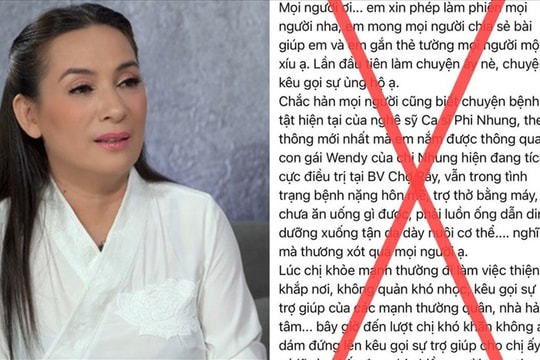 Vụ quyên góp tiền cho Phi Nhung trị Covid-19: Có thể bị phạt cải tạo đến 3 năm?
