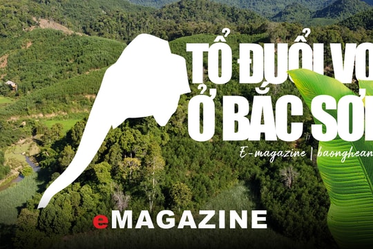 Tổ đuổi voi ở Bắc Sơn