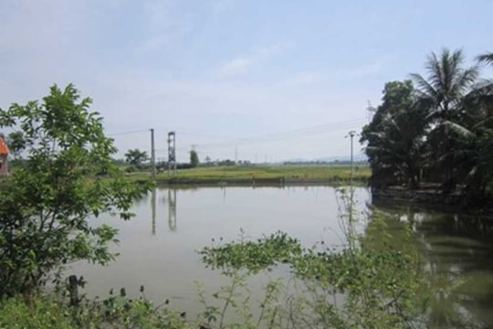 Rơi xuống ao nhà, bé gái 4 tuổi đuối nước tử vong