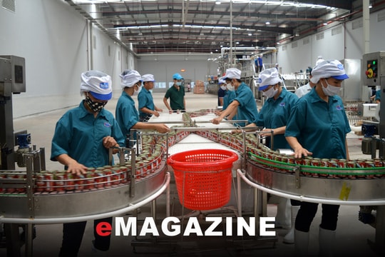 Giữ chân lao động - Kỳ cuối: Giải bài toán việc làm bền vững