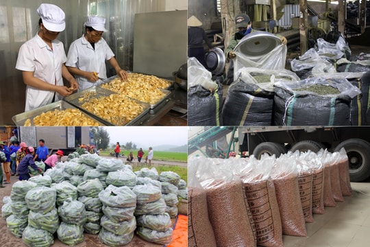 Chỉ thị mới của Chính phủ về thúc đẩy sản xuất, lưu thông, xuất khẩu nông sản