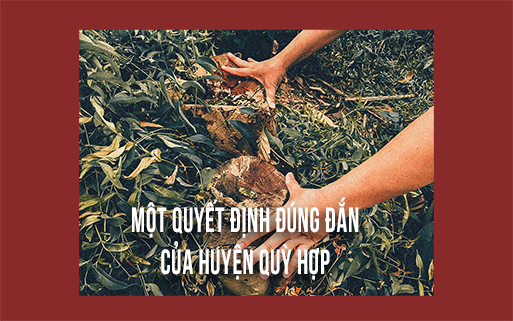 Một quyết định đúng đắn của huyện Quỳ Hợp