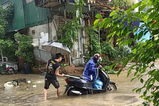 Nhiều xe cộ sập 'bẫy' hố gas thi công dang dở ở TP Vinh