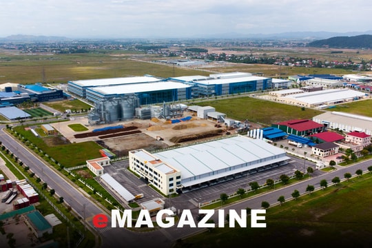 Chuyển động tích cực từ thực hiện Nghị quyết 06-NQ/TU - Bài cuối: Cần chính sách hỗ trợ tạo đột phá