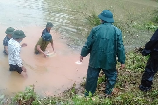 Đô Lương: Khẩn trương ứng cứu đập Róm