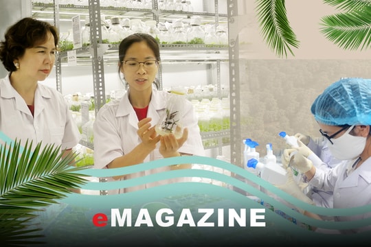 'Gõ cửa' kho báu miền Tây Nghệ An