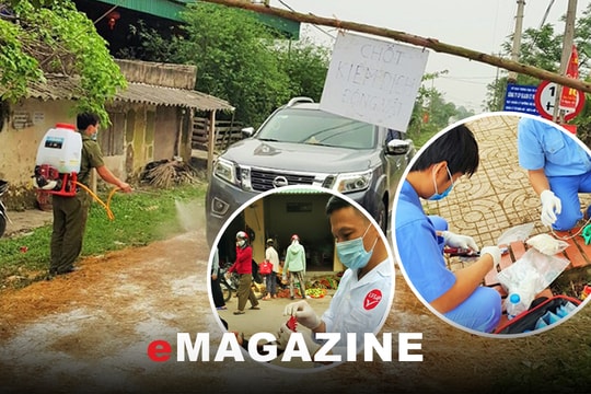 Tập trung phòng, chống bệnh cúm gia cầm