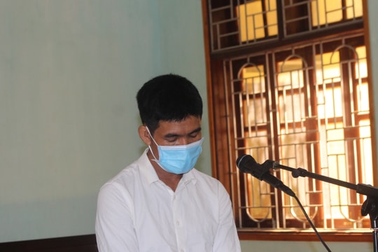 Xử vụ mua và hủy hoại đất rừng trái phép ở Con Cuông