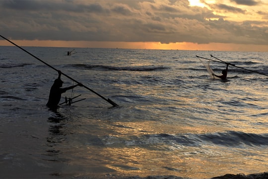 Ngư dân Nghệ An dầm sóng 'săn' hàng tấn ruốc biển mỗi ngày