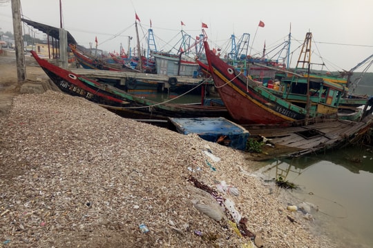 Cử tri huyện Diễn Châu mong muốn sớm nâng cấp cảng cá Lạch Vạn