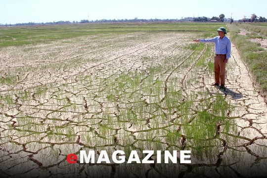 Nâng cao năng lực hệ thống thủy lợi chống biến đổi khí hậu ở Nghệ An:
