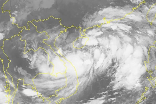 Áp thấp nhiệt đới mạnh lên thành bão số 7