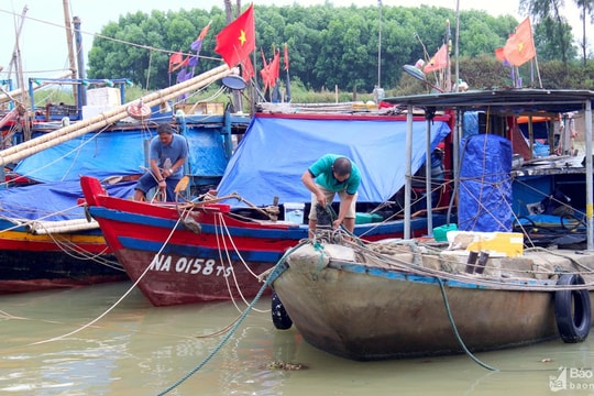 Nghệ An lên kế hoạch di dời 16.200 người dân tùy cấp độ bão số 8