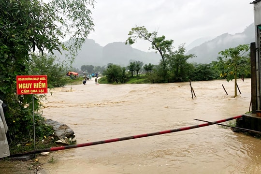 Nghệ An: Tùy diễn biến bão số 8, các trường có thể chủ động cho học sinh nghỉ học