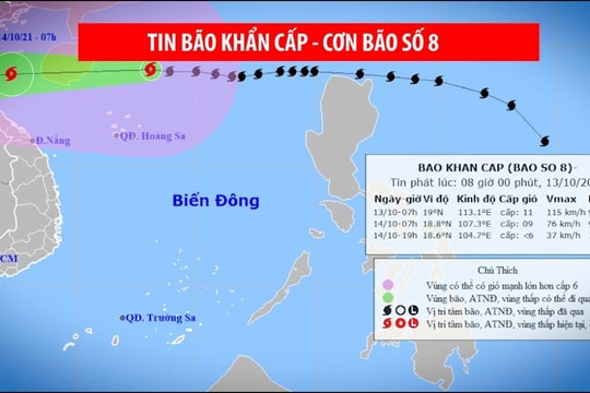 Video: Nghệ An khẩn trương triển khai ứng phó bão số 8