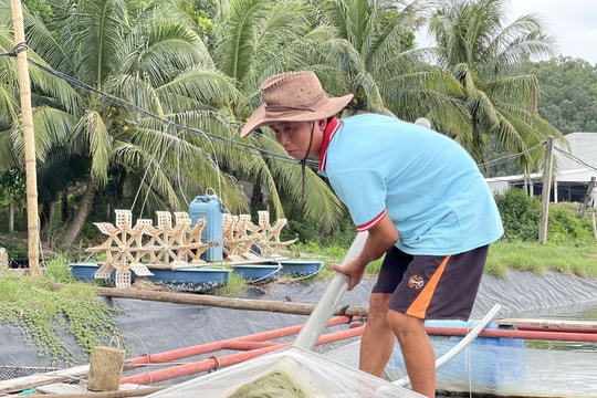 Nông dân Nghệ An đưa cá 'đi' tránh bão