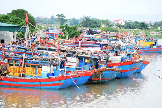 Tập trung ứng phó với bão số 8 và mưa lũ sau bão