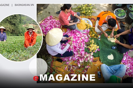 Phát triển hợp tác xã gắn với xây dựng nông thôn mới - Bài 1: Những chuyển động từ kinh tế hợp tác