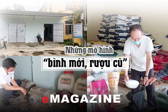 Phát triển hợp tác xã gắn với xây dựng nông thôn mới: Bài 2: Những mô hình 'bình mới, rượu cũ'