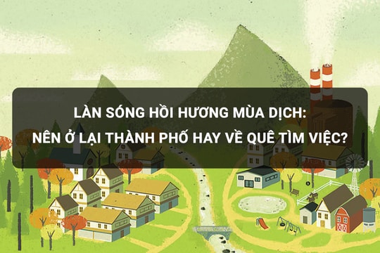 Làn sóng hồi hương mùa dịch: Nên ở lại thành phố hay về quê tìm việc?