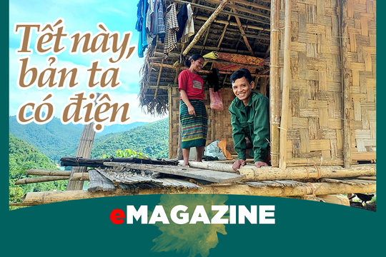 Tết này, bản ta có điện
