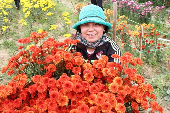 Những hình ảnh đẹp trong lao động của người phụ nữ nông thôn Nghệ An