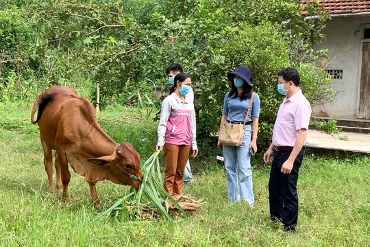 Nghệ An: Cho vay tạo sinh kế bền vững đối với hộ nghèo và hộ cận nghèo