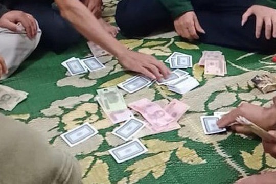 Nghệ An: Triệt phá sới bạc trên đồi keo, bắt giữ 20 đối tượng