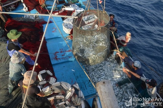 Cơ hội  mới cho ngành khai thác hải  sản