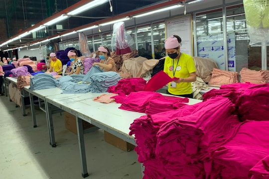 Vận dụng Hiệp định thương mại tự do để đẩy mạnh xuất khẩu sang thị trường EU