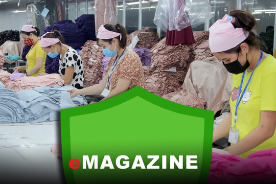 Giữ vững vùng xanh, tạo đà phát triển - Bài 3: Khôi phục sản xuất sau đại dịch