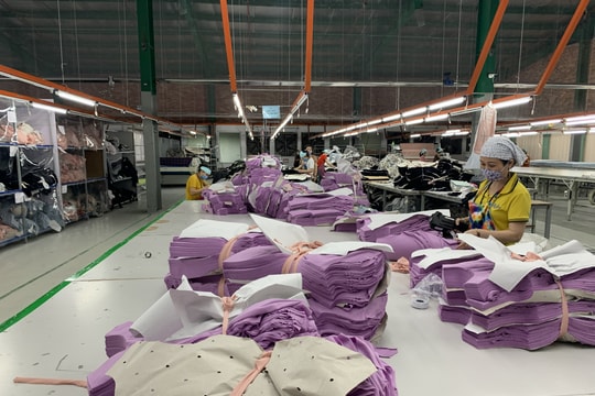 Nghệ An kết nối giao thương thúc đẩy xuất khẩu sang thị trường Ấn Độ