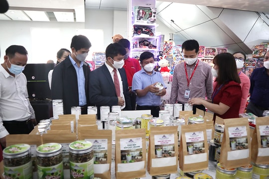 Nghệ  An: Tuần lễ kết nối đưa sản phẩm OCOP miền Tây vào siêu thị