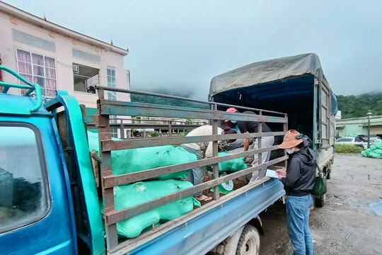 Nông sản Lào ồ ạt vào Việt Nam qua cửa khẩu Nậm Cắn