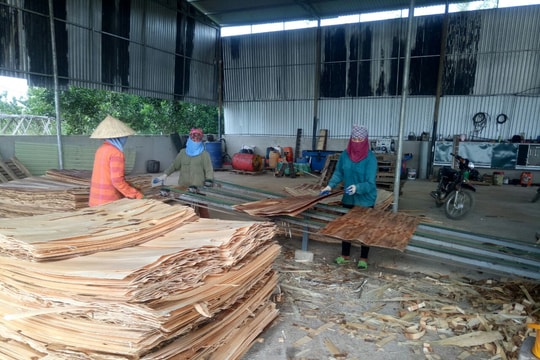Nghệ An: Giải quyết đầu ra cho sản phẩm gỗ nguyên liệu