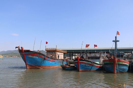 Nghệ An dự kiến đầu tư 1.037 tỷ đồng nâng cấp hạ tầng hậu cần nghề cá