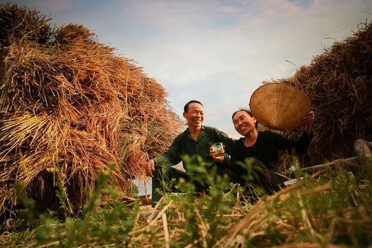 Giải mã tính cách đặc biệt của người Nghệ