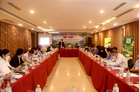 Kết nối cung cầu các sản phẩm tiềm năng của miền Tây xứ Nghệ