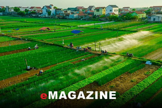 Thúc đẩy sản xuất nông nghiệp an toàn - Bài 1: Vào cuộc cùng nông dân