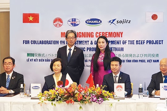 Vinamilk và Vilico hợp tác với đối tác Nhật Bản đầu tư 500 triệu USD phát triển dự án nuôi bò thịt