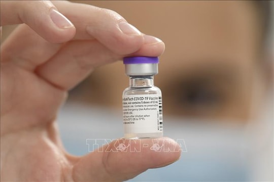 Các hãng dược tuyên bố cập nhật  vaccine Covid-19 để chống siêu biến thể mới