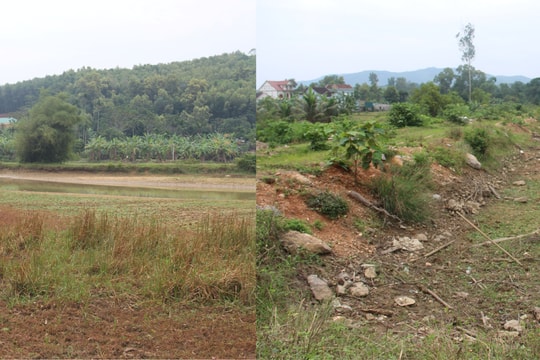 Nghệ An: Nhiều hồ chứa 'trơ đáy', hư hỏng không đảm bảo phục vụ tưới