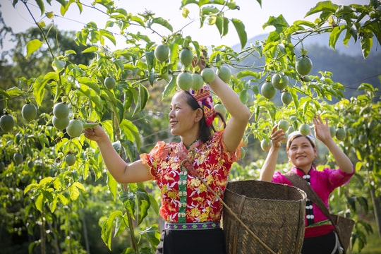 Nâng sức cạnh tranh của các sản phẩm truyền thống ở Tương Dương
