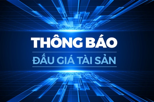 Thông báo đấu giá tài sản (đăng lần 2) 