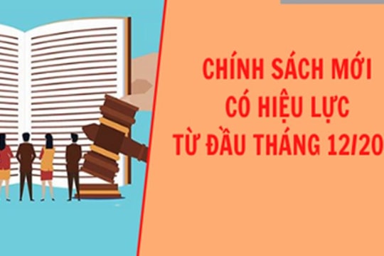 Những chính sách pháp luật có hiệu lực từ tháng 12/2021