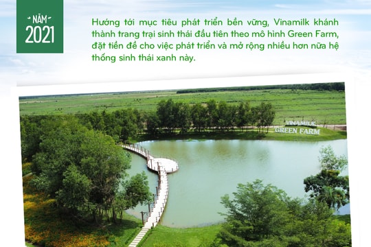 Vinamilk: hành trình xây dựng hệ thống 13 trang trại chuẩn quốc tế khắp Việt Nam