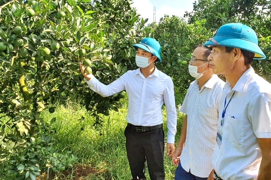 Bồi dưỡng, sắp xếp cán bộ ngang tầm nhiệm vụ