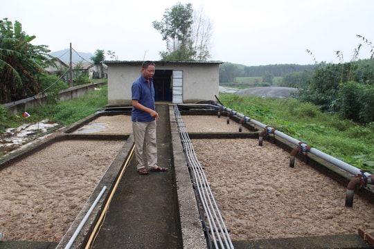 Yên Thành chú trọng xử lý ô nhiễm trong chăn nuôi